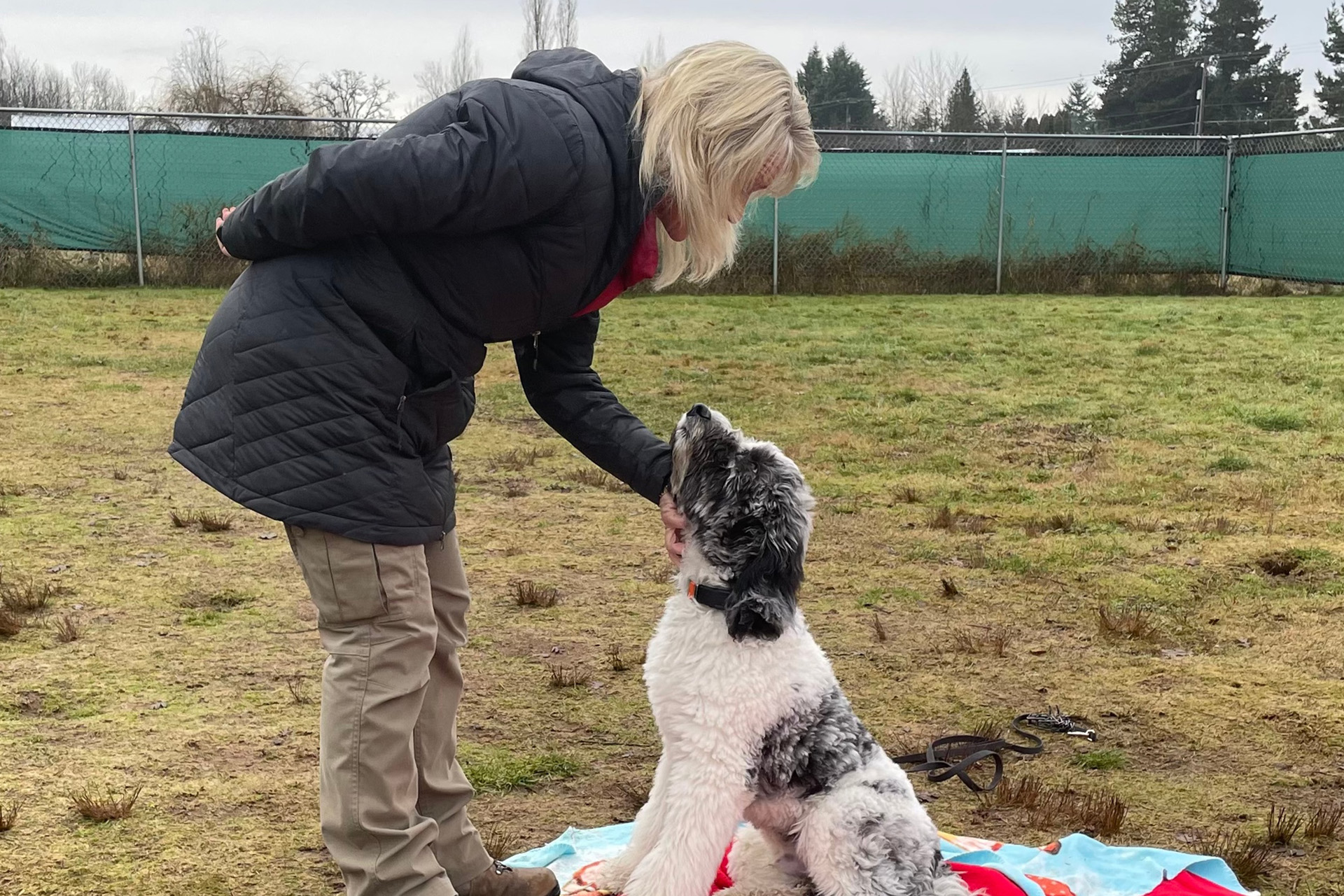 8 Expert Tips For Non-Expert Dog Owners