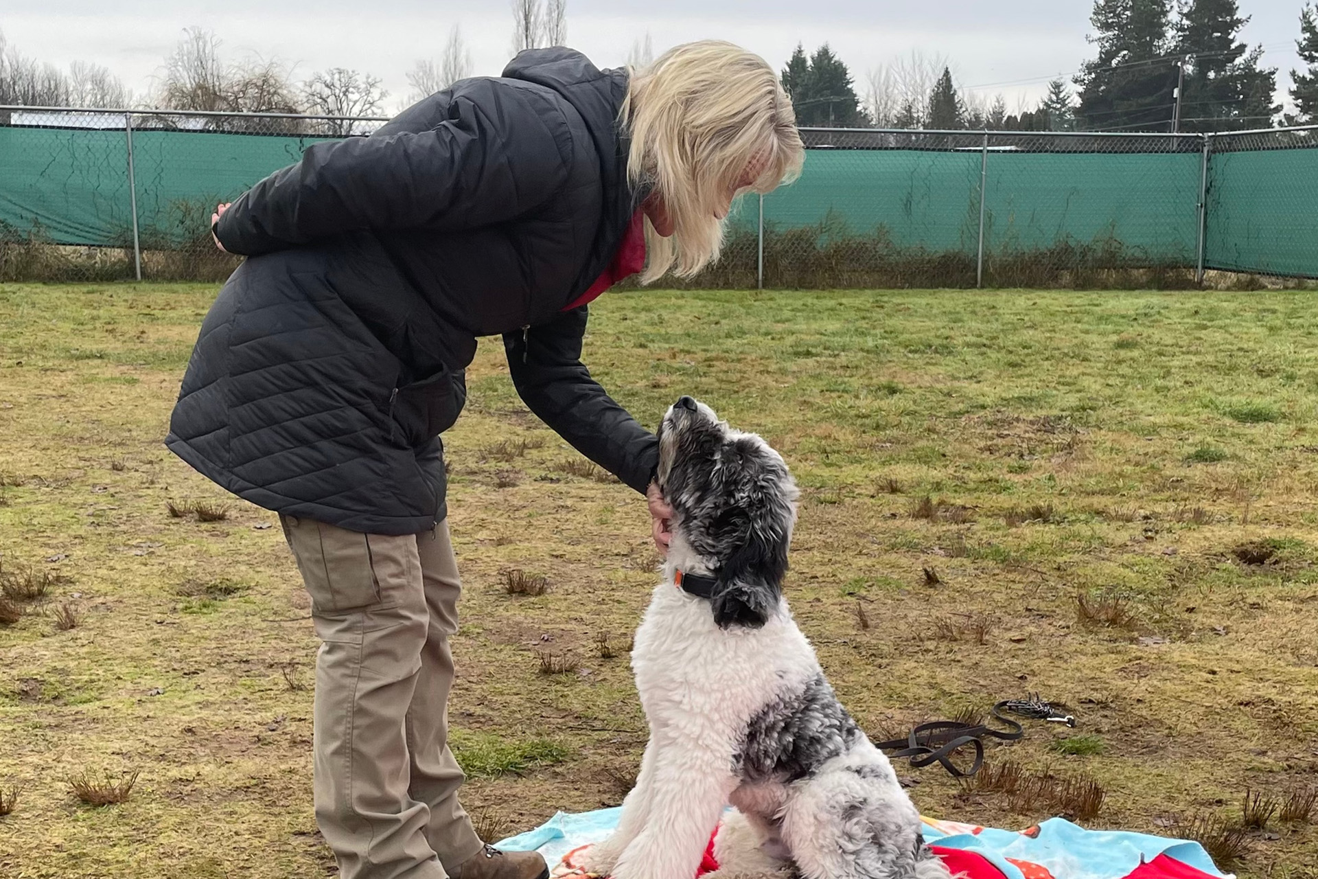 Dog training, giving affection at the right time. 