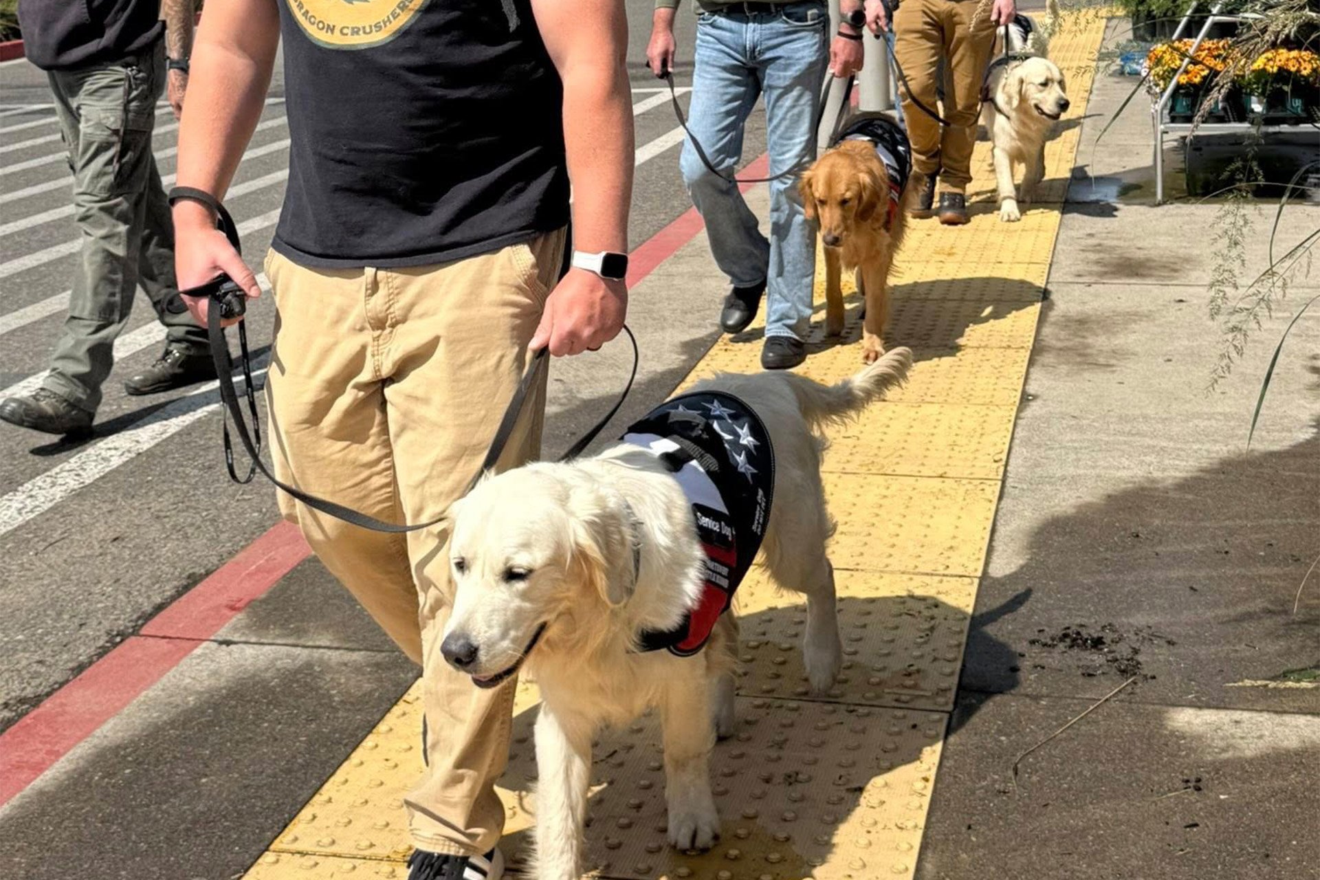 NWBB-How Do You Know If a PTSD Service Dog is Right For You-2