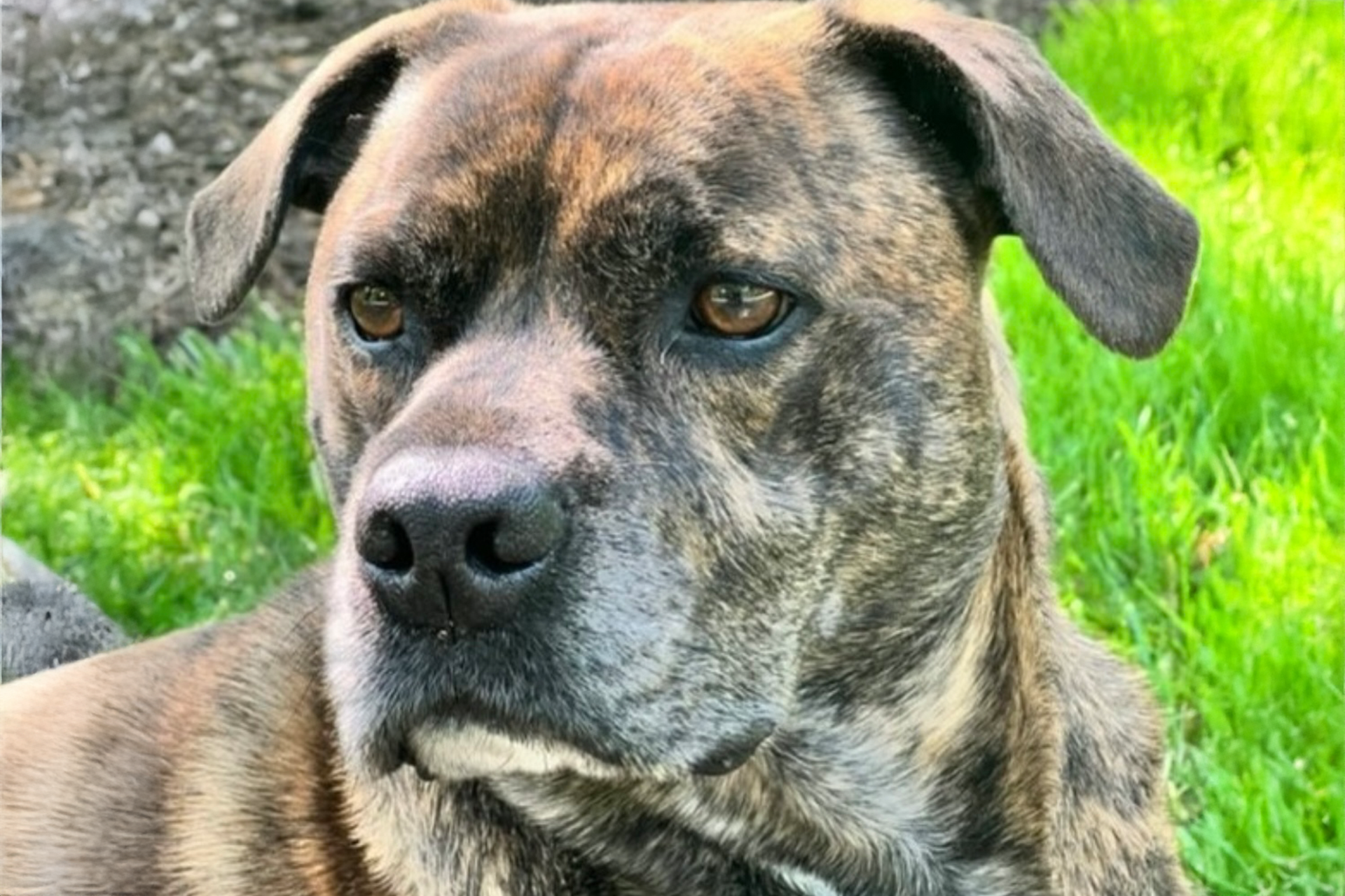 NWBB-Rebekah + Trigger Feature-Blog-2