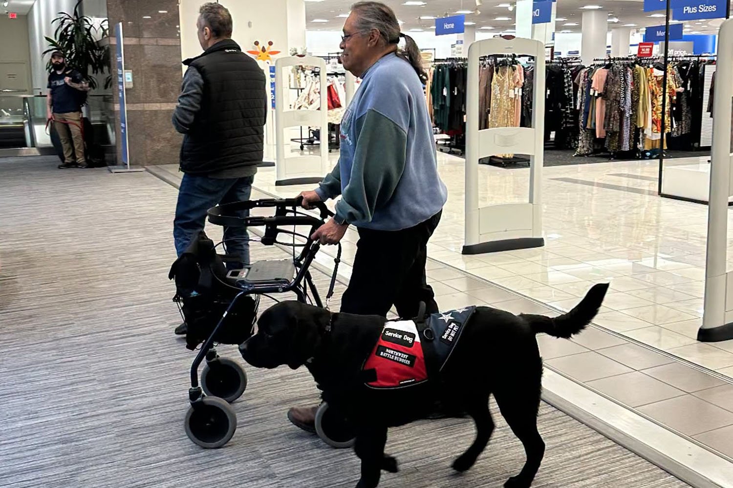 A Veteran using a walker moves through a mall with a service dog in a vest.