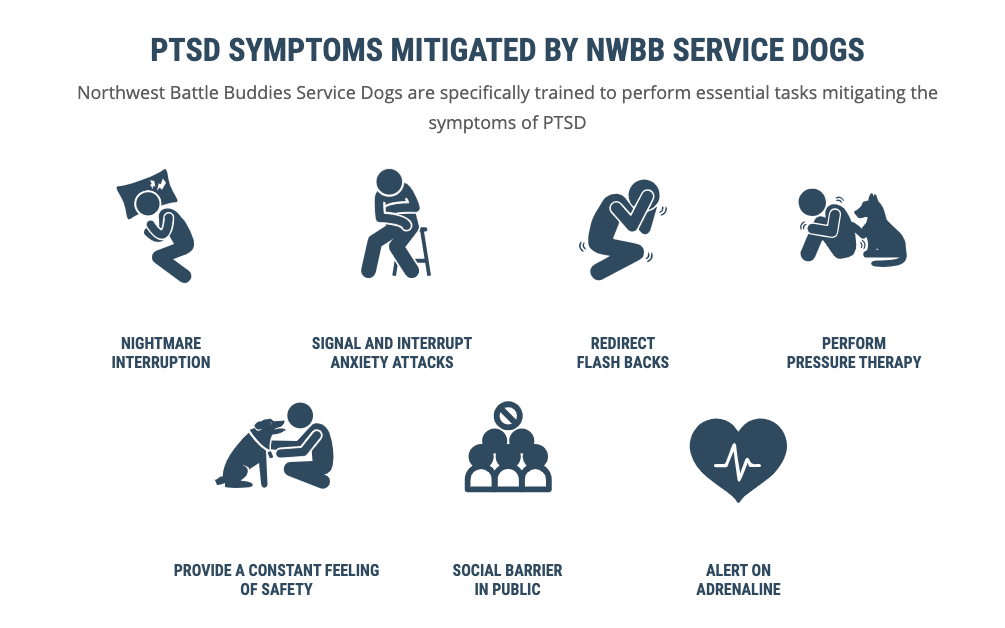 PTSD Service Dog Tasks That Provide Support to Veterans